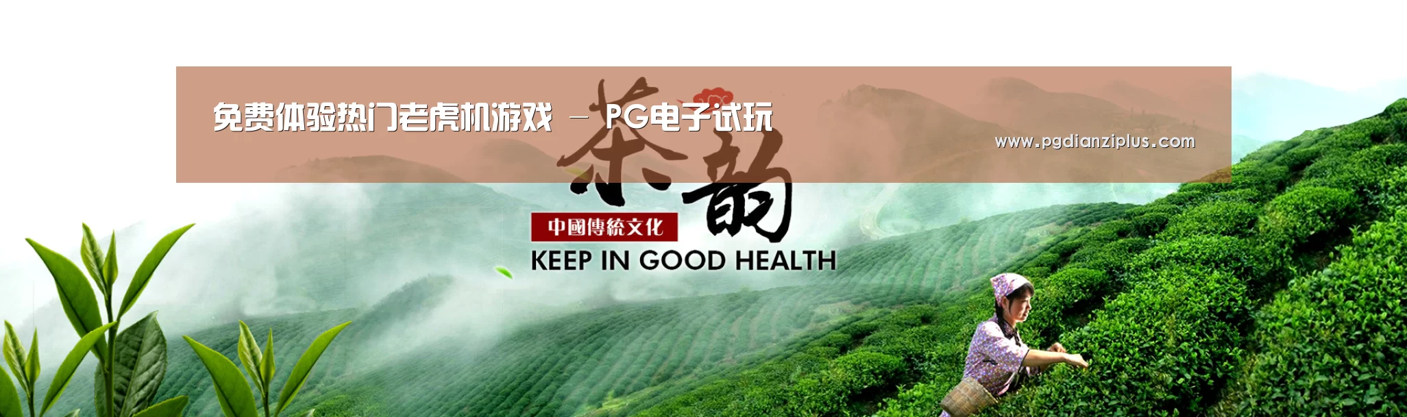 易优Cms-演示站