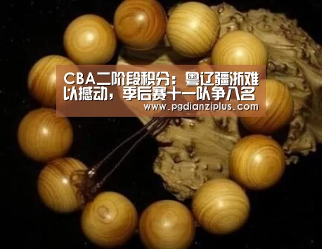 CBA二阶段积分:粤辽疆浙难以撼动,季后赛十一队争八名额_pg电子(图2) pg娱乐官网