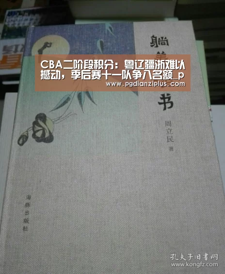 CBA二阶段积分:粤辽疆浙难以撼动,季后赛十一队争八名额_pg电子(图1) CBA二阶段积分:粤辽疆浙难以撼动,季后赛十一队争八名额_pg电子(图1)