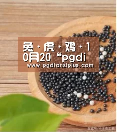 pg娱乐官网
