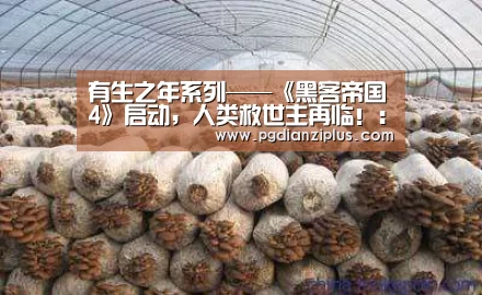 有生之年系列——《黑客帝国4》启动，人类救世主再临！：pg电子(图2)