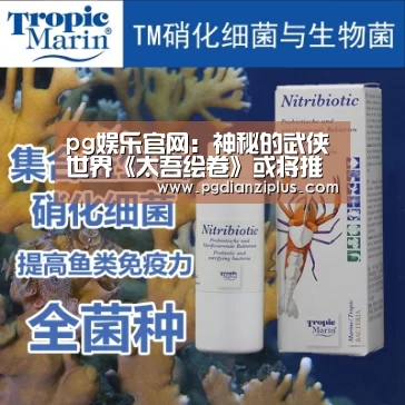 pg娱乐官网